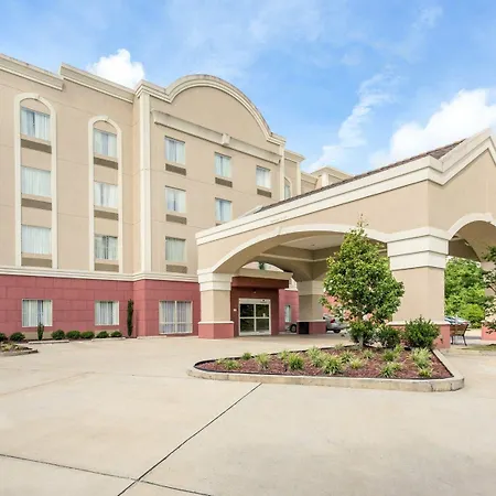 Comfort Suites Mandeville - Covington-3